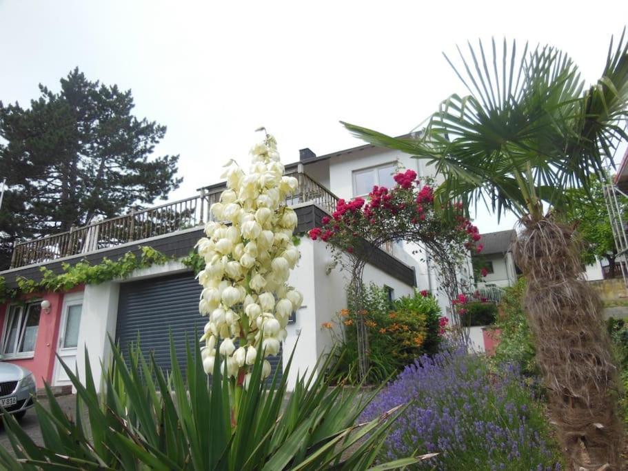 Julia'S Mosel Villa Appartement Nicolas Traben-Trarbach Ngoại thất bức ảnh